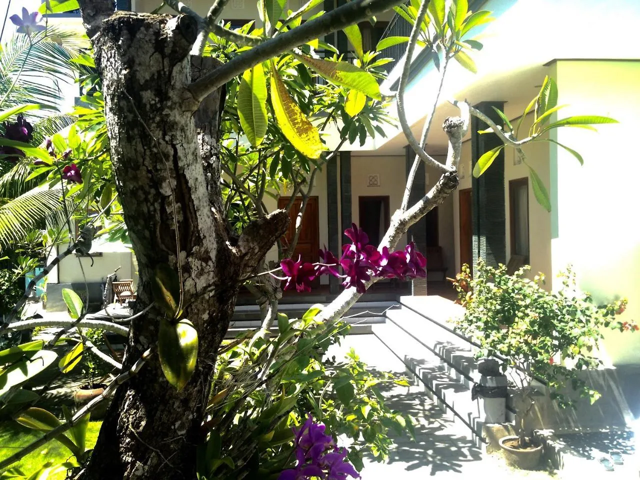Accommodatie bij particulieren Puri Clinton Bali Appartement Nusa Dua  Indonesië